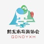 黔东南导游之家ico