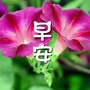 早安心语早安正能量ico