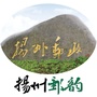 扬州邮韵公众号ico