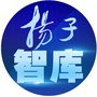 扬子智库公众号ico