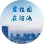碧桂园在河池公众号ico