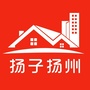 扬子扬州ico