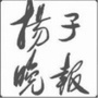 扬子晚报ico