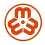 振安妇联ico