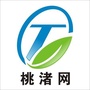 在桃渚网ico