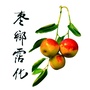 枣乡沾化ico