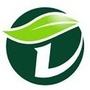 多彩大田ico