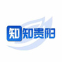 知知贵阳ico