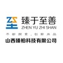 臻柏科技ico
