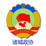 诸城政协ico