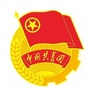 札达共青团ico