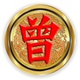 天下曾姓一家亲ico