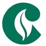 责润河东ico