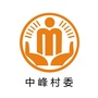 永安中峰阳光村务ico