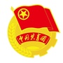 章贡共青团ico