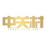 中关村杂志ico
