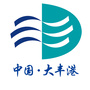 中国大丰港ico