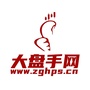 大盘手网ico