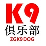 K9俱乐部公众号ico