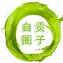 自贡圈子公众号ico