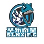 自贡圣乐足球俱乐部公众号ico