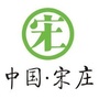 中国宋庄ico