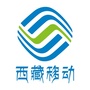 中国移动西藏公司ico