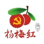 杨梅驿站ico