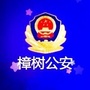 樟树公安ico
