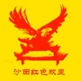 美丽沙田ico