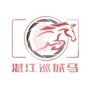 湛江巡城马ico