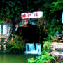 沾益发布ico