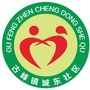 智慧城东ico