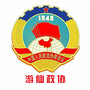 游仙政协ico