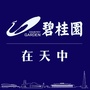 碧桂园在天中ico