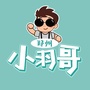 郑州小羽哥ico