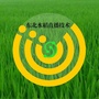 东北水稻穴播技术公众号ico