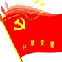 只楚党建支撑战略平台ico