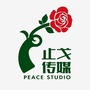 看见缅甸ico