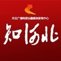 知河北公众号ico