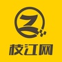 枝江网公众号ico