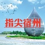 指尖宿州ico