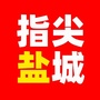 指尖盐城ico