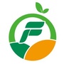 良田福地+ico