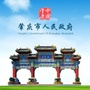 肇庆政府网ico