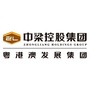中梁粤港澳发展集团ico