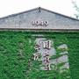 中央戏剧学院学生工作ico