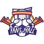 Fansmall足球猫ico