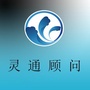 舟山小灵通公众号ico