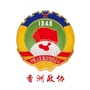 香洲政协ico